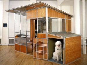 Homestead office with pet enclosure