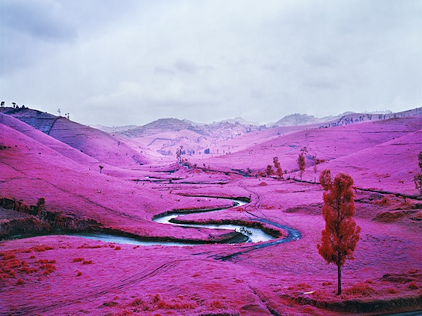 Beyond Fauvism - Richard Mosse, The Enclave 