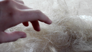 Untitled Film Still: gather the hair